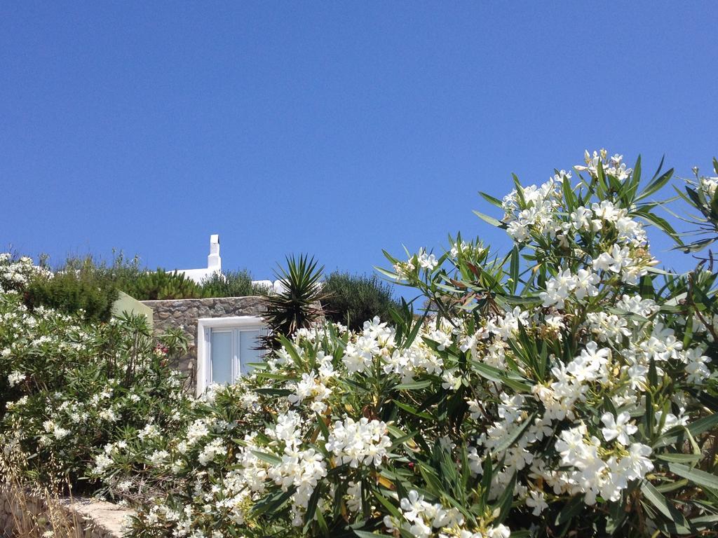 Mykonos Love Nest Ano Mera Rom bilde